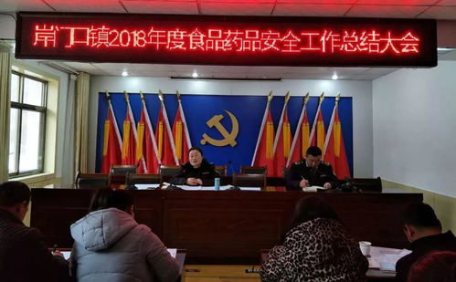 守護舌尖安全，岸門口鎮召開2021年度食品藥品安全監管工作總結大會